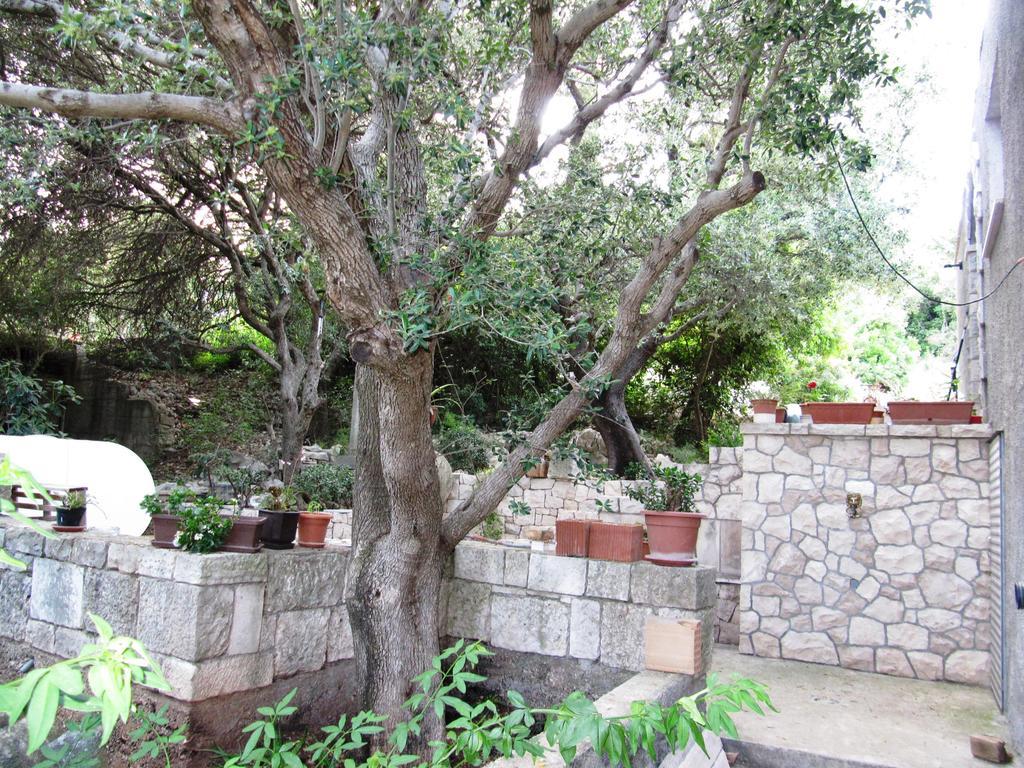 Apartmans And Rooms Dunjini Dvori Đảo Korčula Ngoại thất bức ảnh